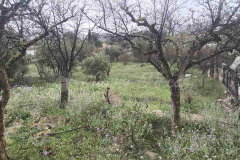 Landejendom i Monovar, Alicante, Monovar - € 88.000 | Ref: SF0564 - foto 17